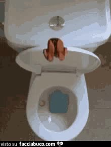 gif animata