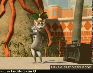 gif animata