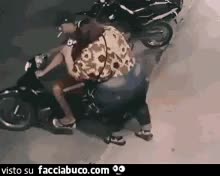 gif animata