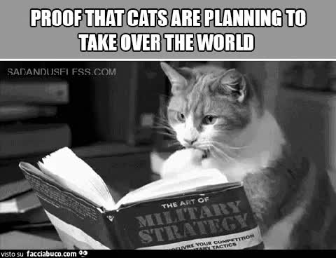 Proof that cats are planning to take over the world…