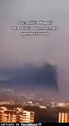 Gender reveal