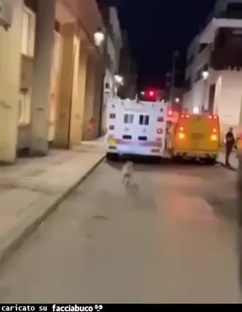 Gif Animata