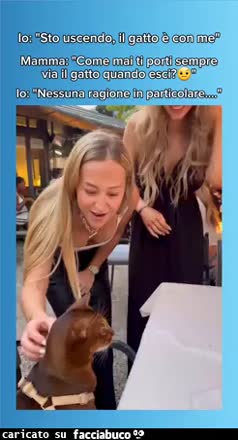 Gif Animata