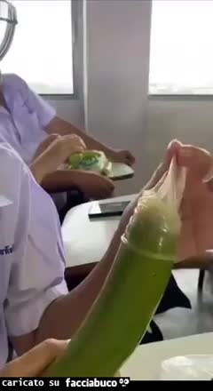 Gif Animata