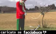 gif animata