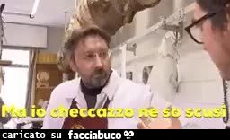 gif animata