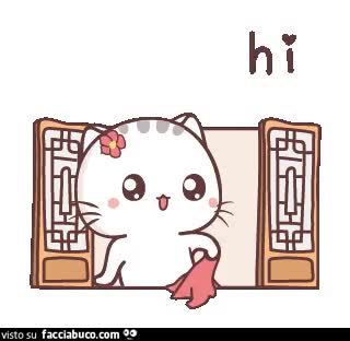 gif animata
