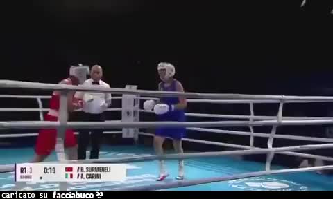Gif Animata