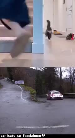 gif animata