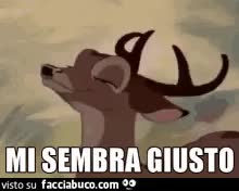 gif animata